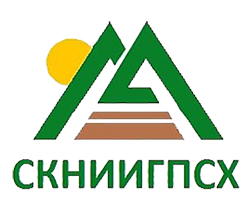 Мир без границ